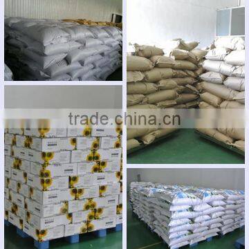 Common Style Pumpkin Kernels Shine Skin photo-5