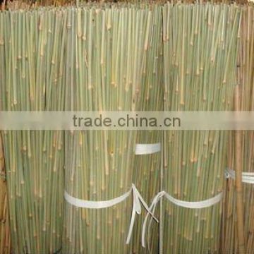 Plant Support Bamboo Sticks