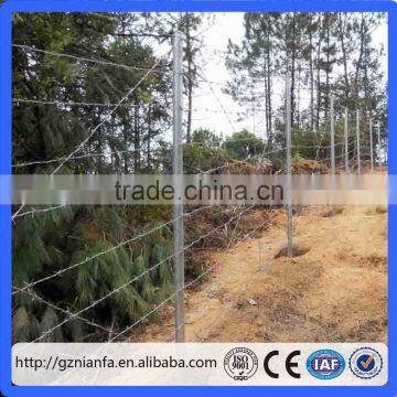 China Supplier Anti Theft Wire Mesh 50m per roll Hot Galvenized Barbed Wire(Guangzhou Factory)