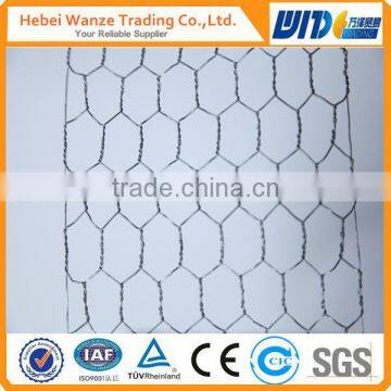 high quality chicken mesh for sale (Anping supplier)