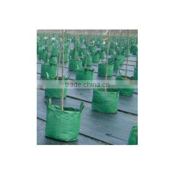 Plant/ Grow Bag photo-4