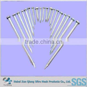 low price galvanized hardened steel concrete nails