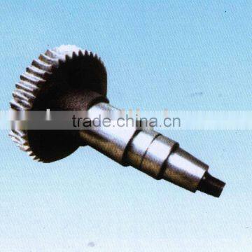 Worm Gear