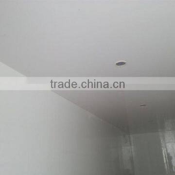 School Bus for Sale 20 Seats