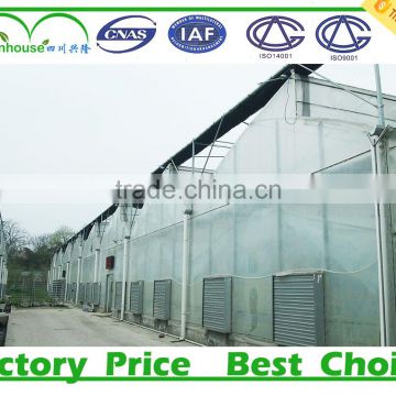 Plastic agricultural greenhouses for sale