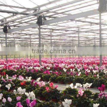 Polycarbonate Sheet Greenhouse-2 photo-5