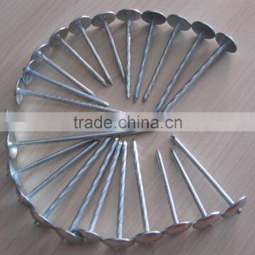 Galvanized Twisted Shank Roofing Nails photo-4