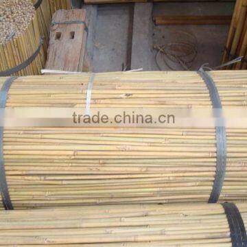 Cheap Bamboo Fencing