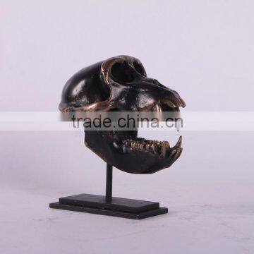 Macaque Skull on Base photo-3
