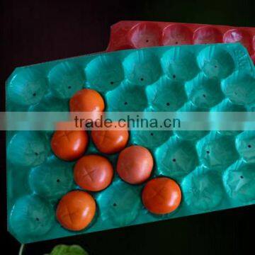 Plastic Fruit Tray Displaying Fruit photo-5
