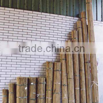 All kinds of the length of bamboo poles