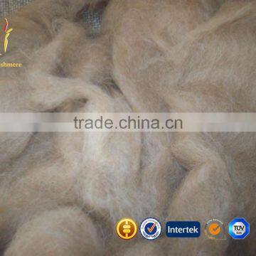 Dehaired Cashmere Fiber Tops photo-2