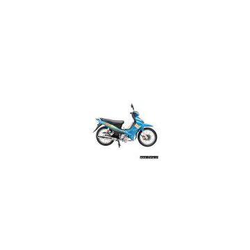Sell Cub (BS110-16)