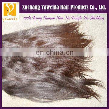 High quality unprocessed human virgin brazilian hair weft wholesale hair