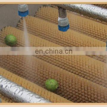 HP-360 Spray Washer Type Watermelon Peach Lemon Roller Cleaning Machine photo-5
