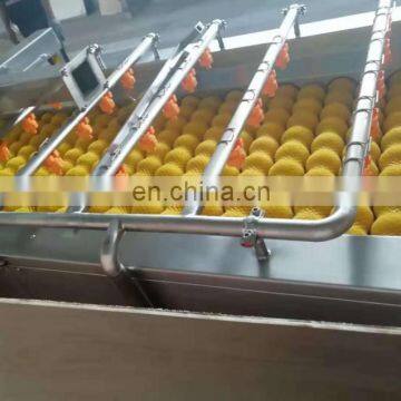 Hot Sale Industrial Fruit Washing and Drying Machine for Sale