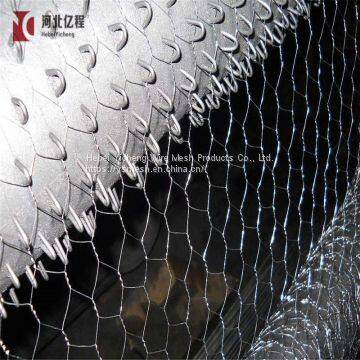 Hot dip electro galvanized chicken wire mesh hexagonal wire mesh with lowest price