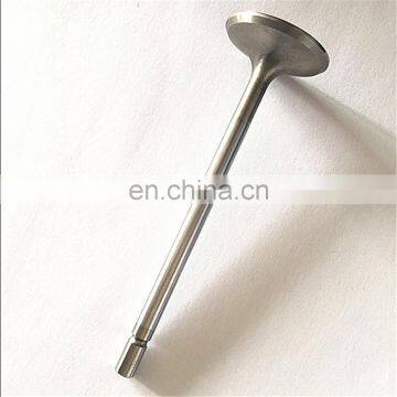 2 Years Warranty Motor Spare Parts for MWM TCG2020 V12 V16 V20 Generator Gas Engine Valve