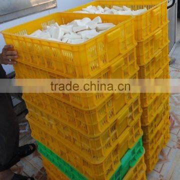 Best Price Cassava Root From Vietnam/ Fresh Tapioca photo-2