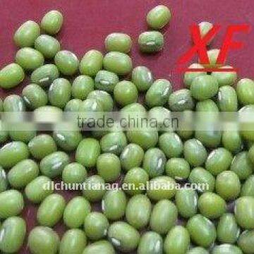 Organic Green Mung Bean