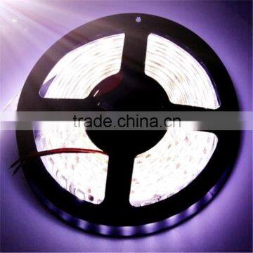 Best Led Lighting Factory 12V/24V Led Strip Light SMD3528 5050