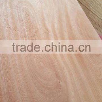 comercial plywood in vietnam 1220*2440