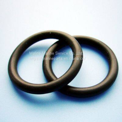 YOKOGAWA EML500 O-ring photo-4
