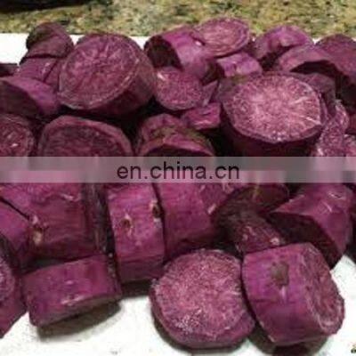 Purple Sweet Potato fresh  high  export quality from Vietnam.