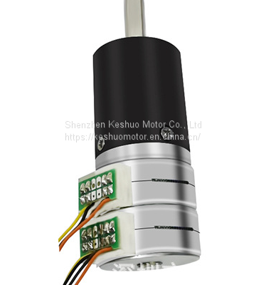 25mm double stacked micro reduction motor 12V24V planery gearbox stepper motor with large torque