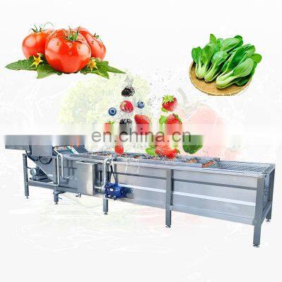 Bubble Type Commercial Potato Tomato A Food Equipment Clean Vegetable Fruit Wash And Dry Process Machine