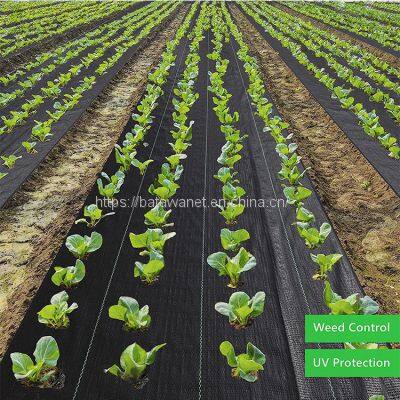 Factory Black/Green/White Ground Cover Anti UV PP Woven Geotextile Weed Barrier Landscape Fabric Weed Control Mat