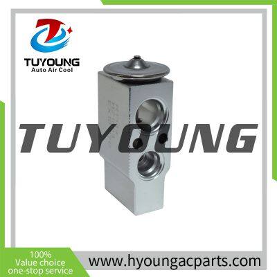 TUYOUNG China factory produce auto ac expansion valves for Nissan Armada V8 05-15, 92200-5Z010 92200-ZC00A, HY-PZF293