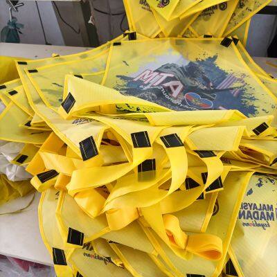 OEM All Shapes, Design and Kinds of Kites for Advertising and Activities Occasions photo-2