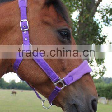 Horse cob Pony Fleece padded Halters choice of colours