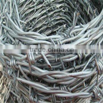 galvanized barbed wire