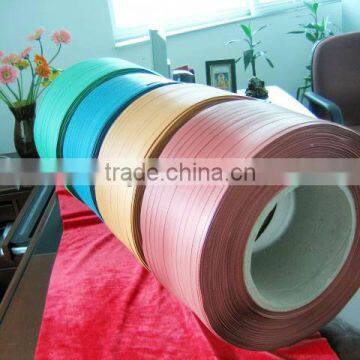 pp Strapping photo-4