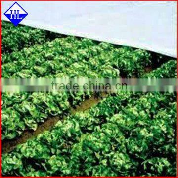 Agriculture pp spunbond non woven fabric