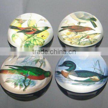 domed glass paperweights