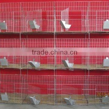 Automatic Cheap Rabbit Cages for Sale photo-2