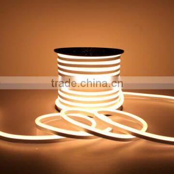  express ultra-thin 12v indoor or outdoor small led neon rope light