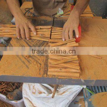 cassia peeled by machin BEST in china