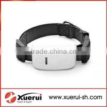 wholesale gps tracker/pet gps tracking