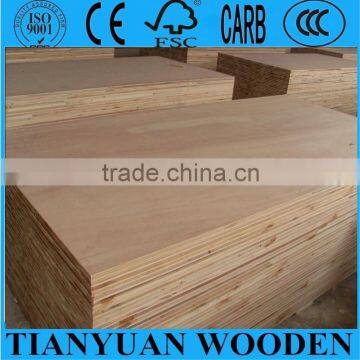 Raw and Melamine Blockboard for Furniture and Door Panel