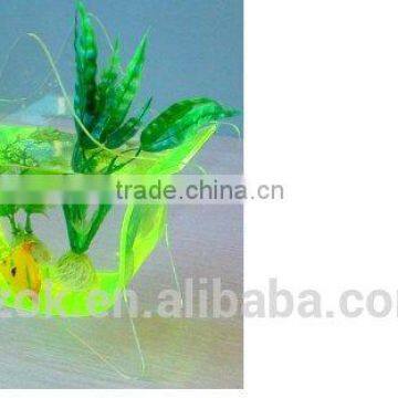 custom design clear acrylic star-shaped desktop fish tank hot selling