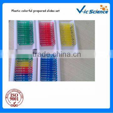 Hot sale 12 mixed plastic prepared slides set