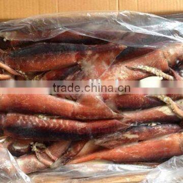 frozen whole flying squid Todarodes pacificus