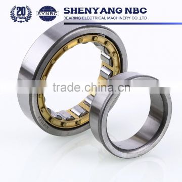 Cylindrical Roller Bearing Special Size NU309 for Motor