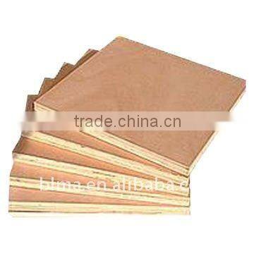 Okoume plywood and plywood uae