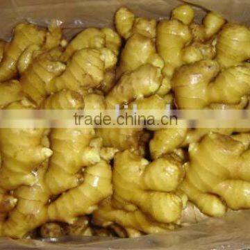 chinese fresh ginger