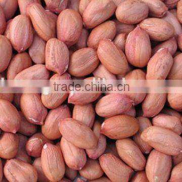 Chinese Light Peanut Kernel With Red Skin photo-2